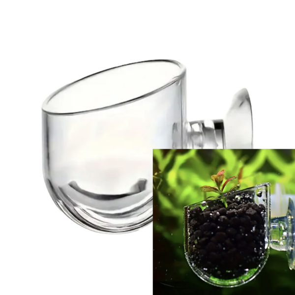 Vaso para plantas para aquário