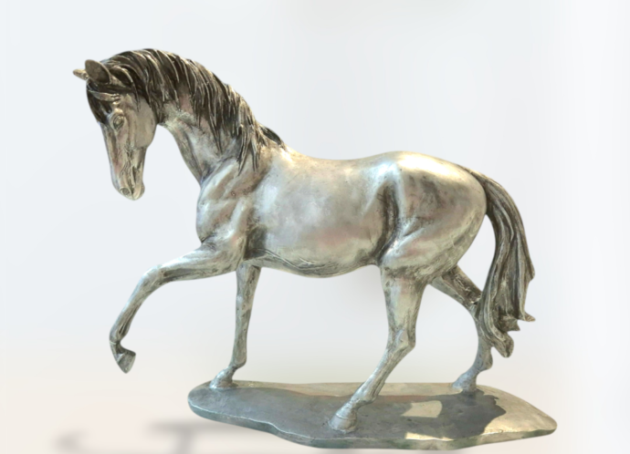 Photoroom-20241204_231254 Photoroom-20241204_231254