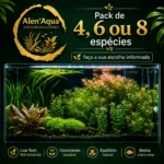 Pack Plantas Aquário Low Tech – 4, 6 ou 8 Espécies