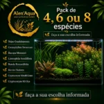 Pack Plantas Aquário Low Tech – 4, 6 ou 8 Espécies