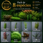 8 Espécies